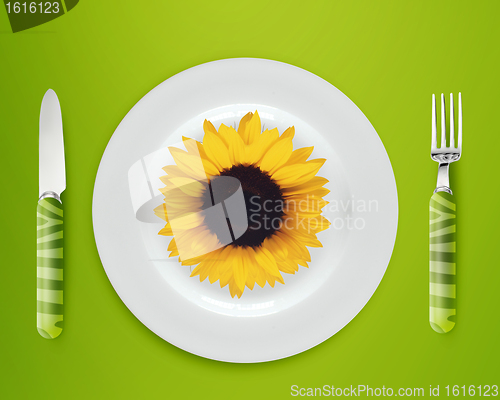 Image of sunflower on plate