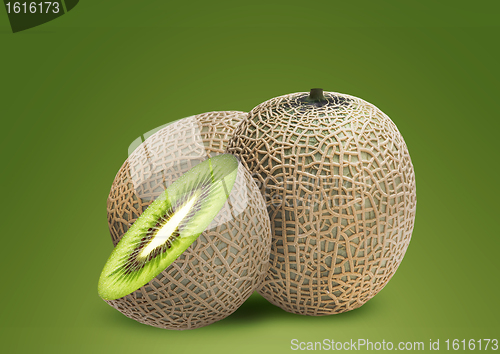 Image of Melon and kiwi inside