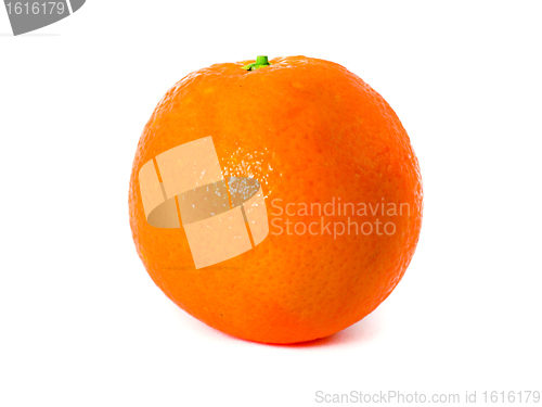 Image of Fresh Orange