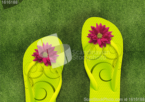 Image of Colorful Flip Flops on green grass