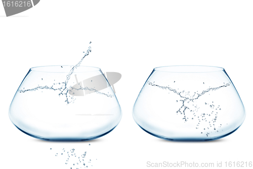 Image of Empty Two fishbowls 