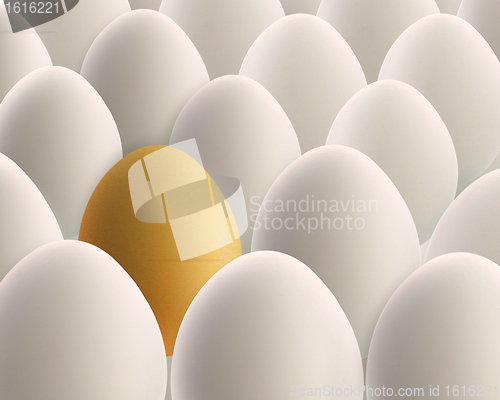 Image of unique golden egg between white eggs