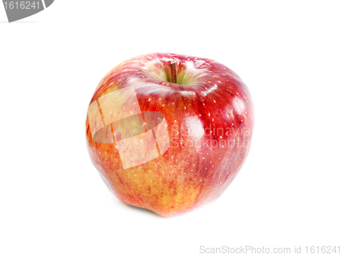 Image of red apple