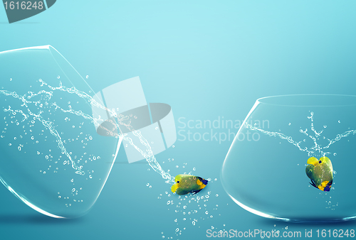 Image of angelfish jumping out of  fishbowl