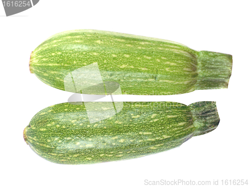 Image of fresh zucchini fruits