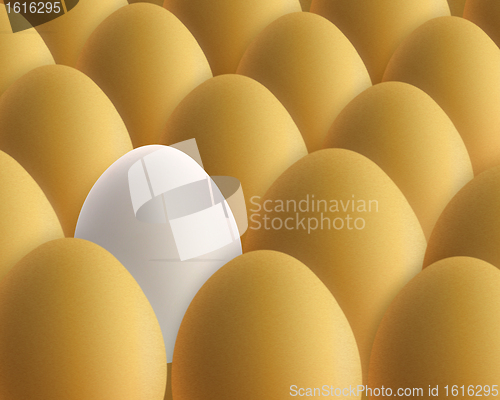 Image of unique white egg