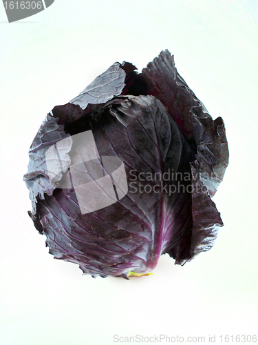 Image of Red cabbage