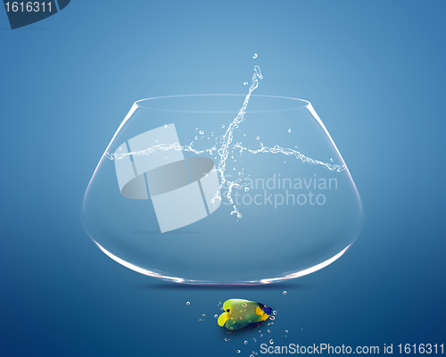 Image of angelfish jumping out of  fishbowl