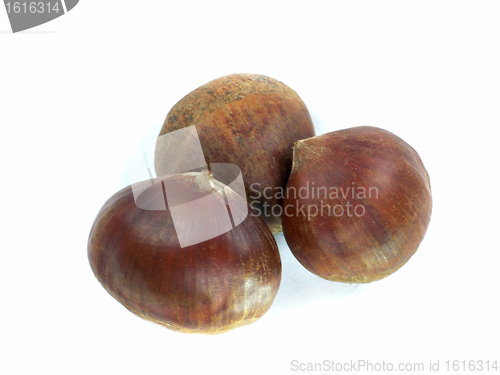 Image of chestnuts 