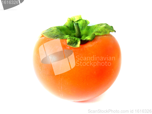 Image of Persimmon