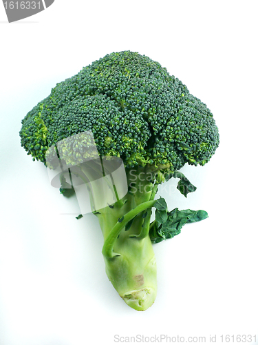 Image of broccoli