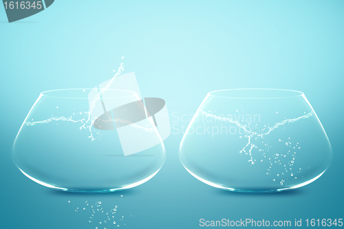 Image of Empty Two fishbowls 