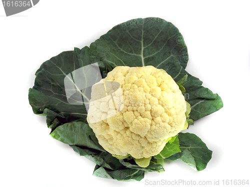 Image of Cauliflower