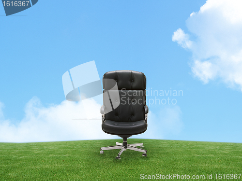 Image of Outdoor armchair on green land