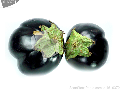 Image of Fresh eggplant