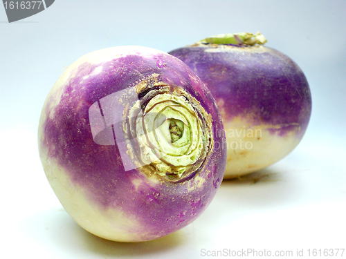 Image of purple headed turnips on white background 