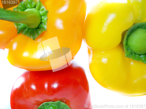 Image of Bell pepper