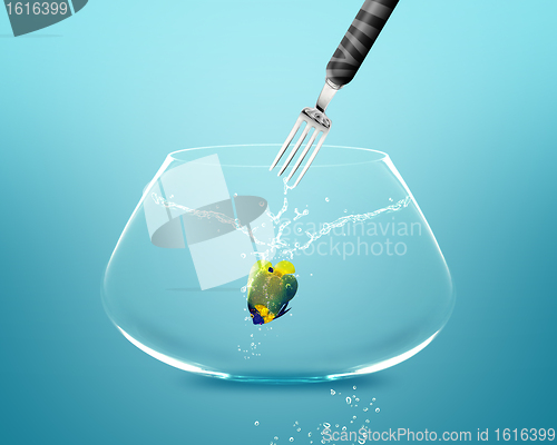 Image of Fork catch angelfish in fishbowl 