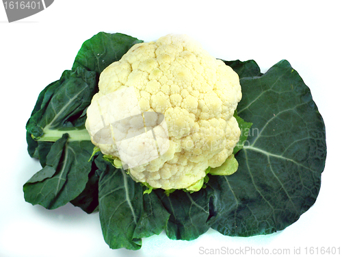 Image of Cauliflower