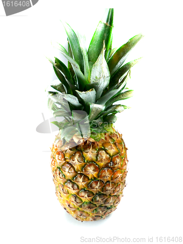 Image of Fresh pineapple 