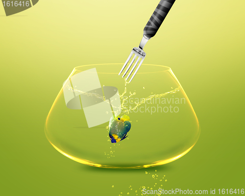 Image of Fork catch angelfish in fishbowl 