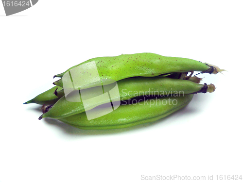 Image of broad beans