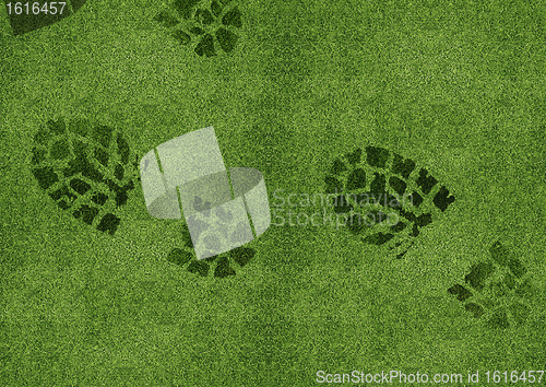 Image of Shoe print on green grassland