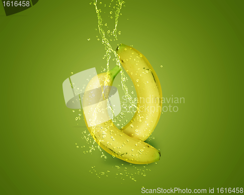 Image of Fresh Banana
