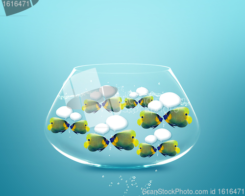 Image of angelfish faces as social network with speech bubbles.