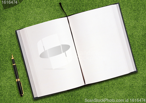 Image of Blank book on grass