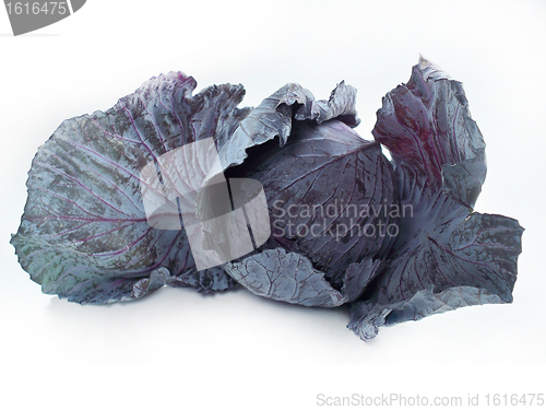 Image of Red cabbage