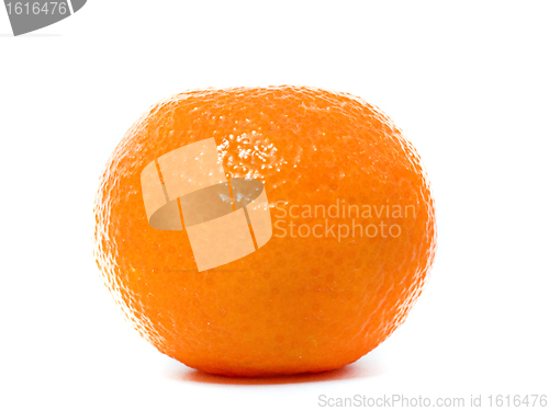 Image of Fresh Clementine