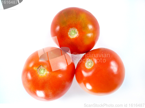 Image of Red tomatoes