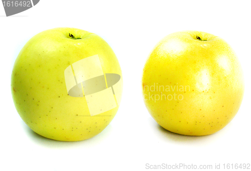 Image of Yellow apple