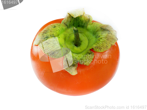 Image of Persimmon