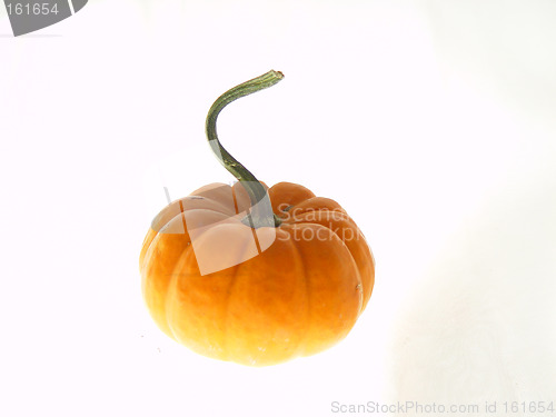 Image of Halloween Pumpkin