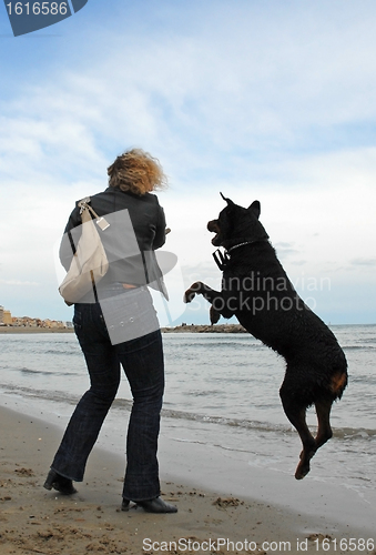 Image of woman and playing dog