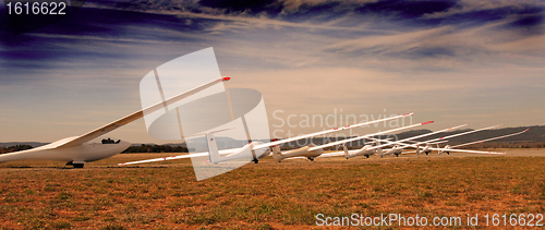 Image of gliders in evening