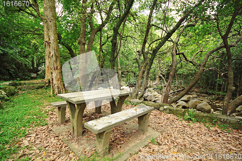 Image of Picnic place in forest 