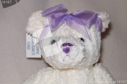 Image of candlewick teddy