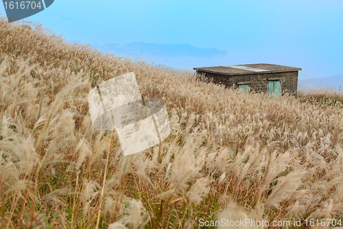 Image of old stone house with grass on the mountain 