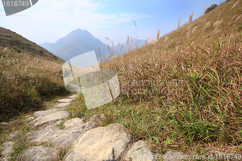 Image of Stone path in the mountains