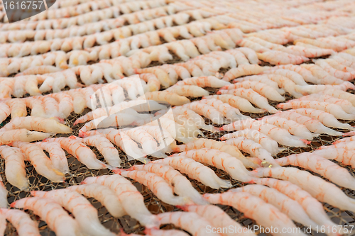 Image of Small dried shrimp