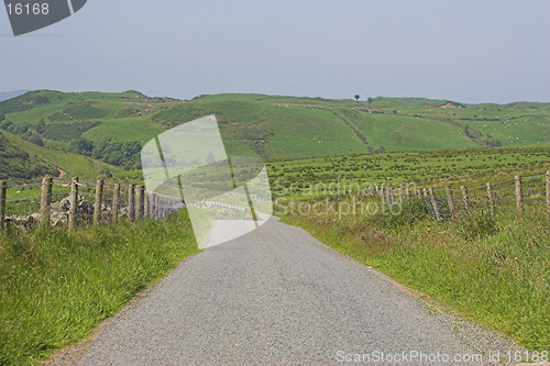 Image of A country road