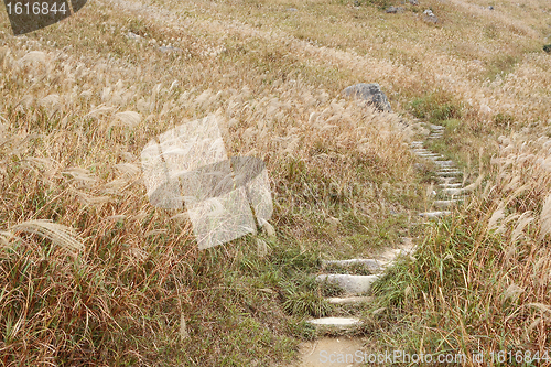 Image of Stone path in the mountains