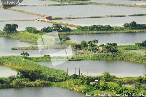 Image of Rice terrace landscape in China 