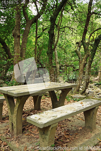 Image of Picnic place in forest 