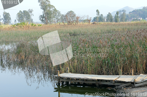 Image of wooden pier in tranquil lake at morning 