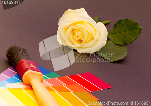 Image of Painting a white rose
