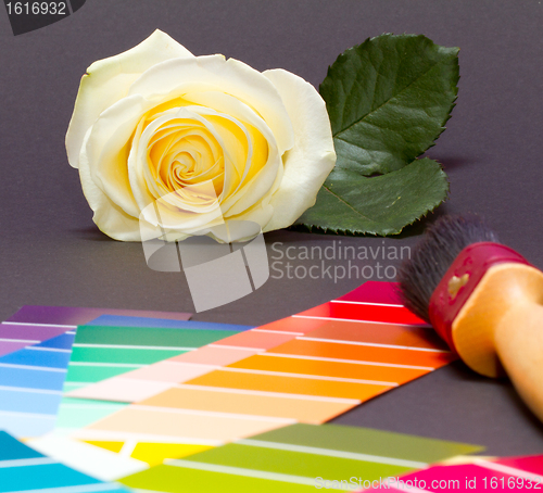 Image of Painting a white rose